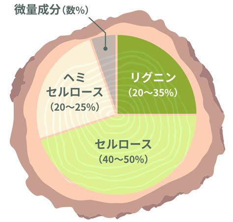 木 元素|木の化学 : 主成分とその利用 (<特集>身近にある天然物のはなし)